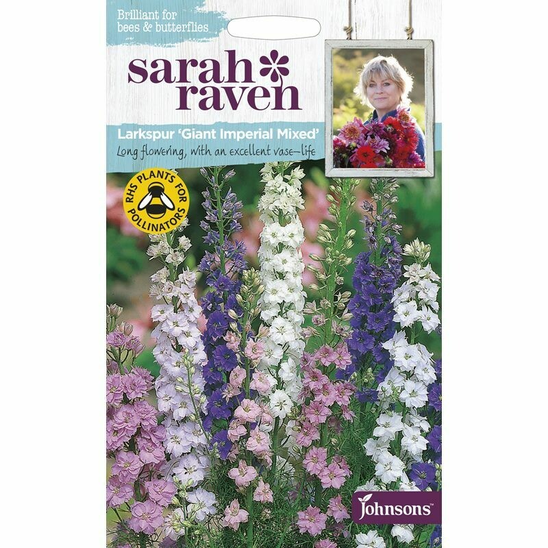 Sarah Raven Larkspur Giant Imperial Mixed