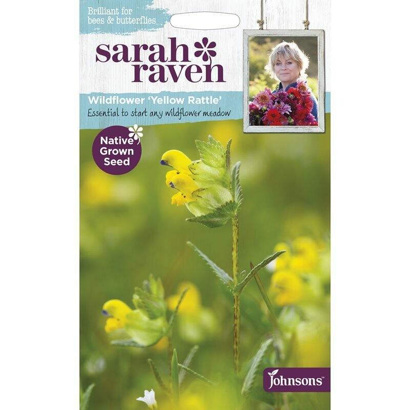 Sarah Raven Yellow Rattle