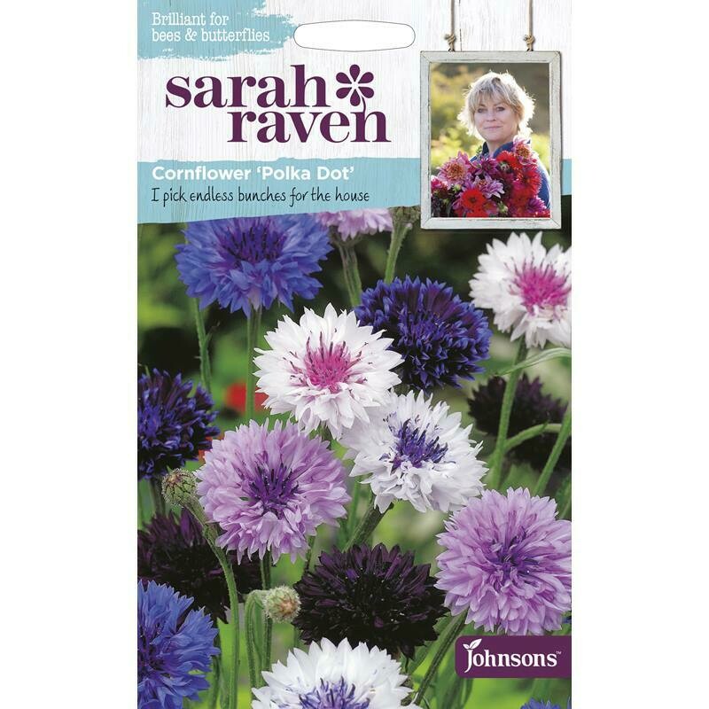 Sarah Raven Cornflower Polka Dot