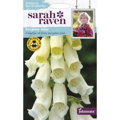 Sarah Raven Foxglove Alba