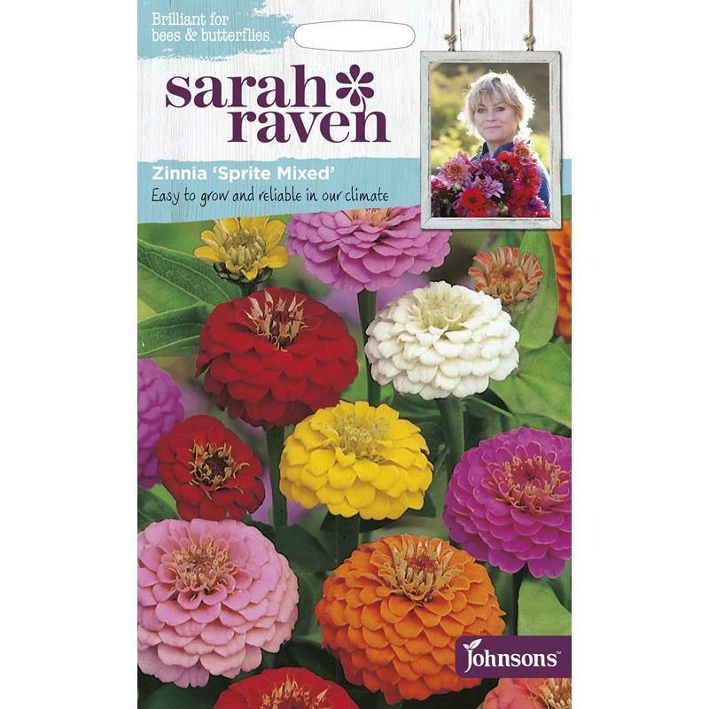 Sarah Raven Zinnai Sprite Mixed