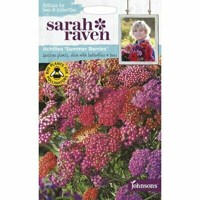 Sarah Raven Achillea Summer Berries