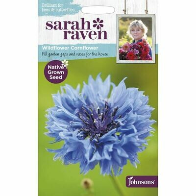 Sarah Raven Cornflower