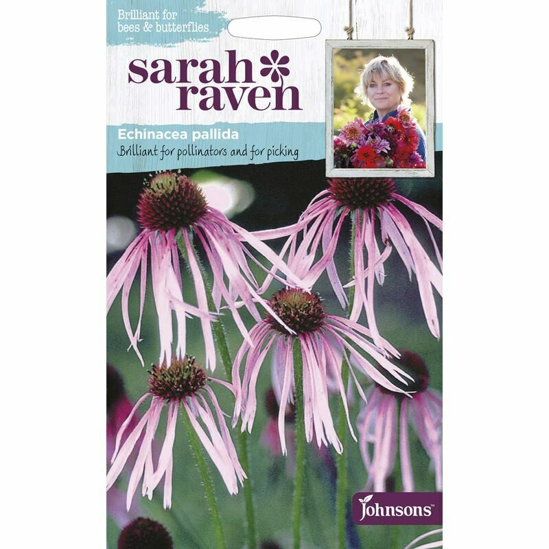 Sarah Raven Echinacea Pallida