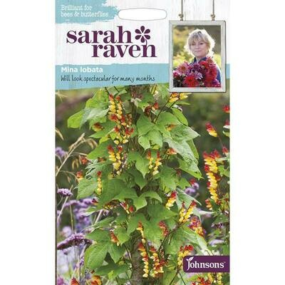 Sarah Raven Mina Lobata