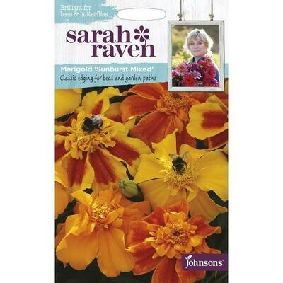 Sarah Raven Marigold Sunburst Mixed