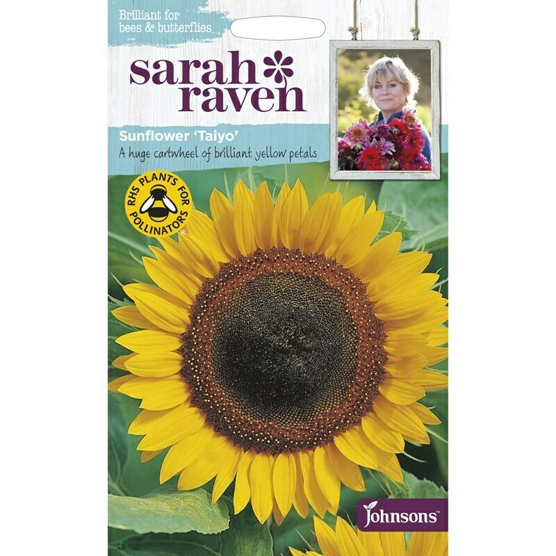 Sarah Raven Sunflower Taiyo