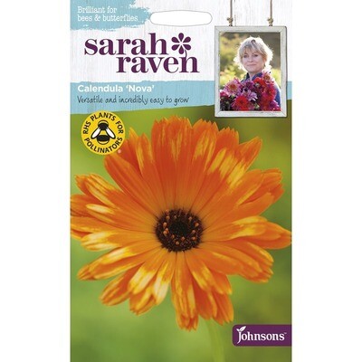 Sarah Raven Calendula Nova