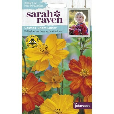 Sarah Raven Cosmos Bright Lights