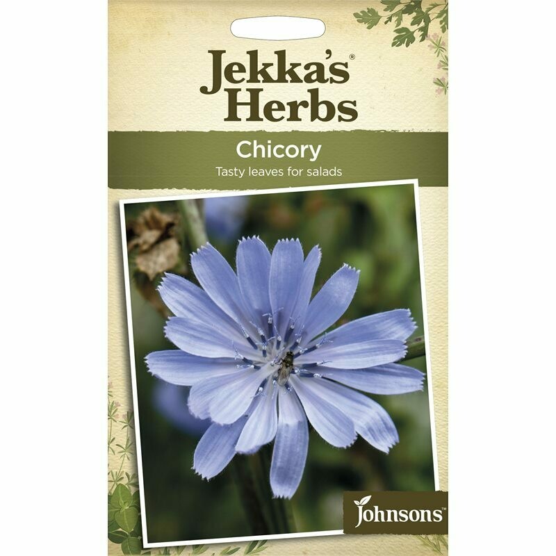 Jekka&#39;s Herbs Chicory