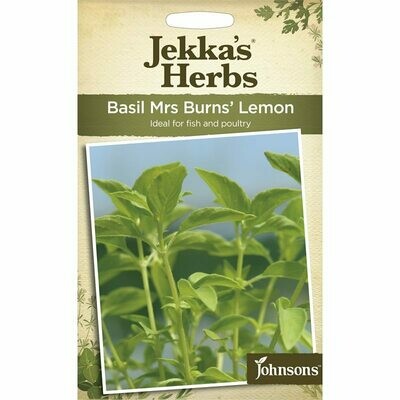 Jekka&#39;s Herbs Basil Mr&#39;s Burns Lemon