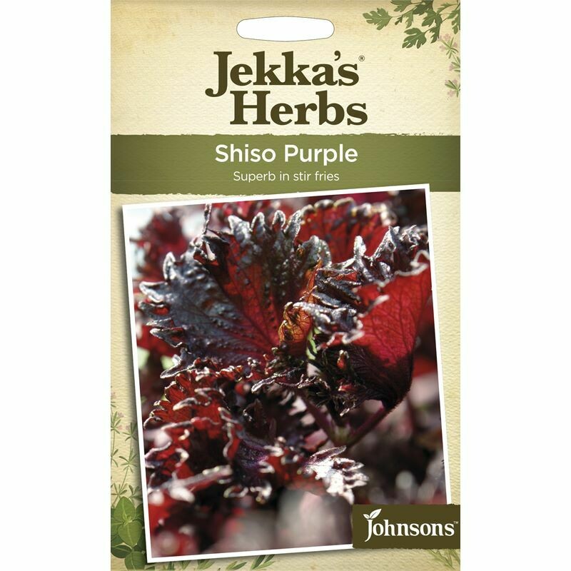 Jekka&#39;s Herbs Shiso Purple