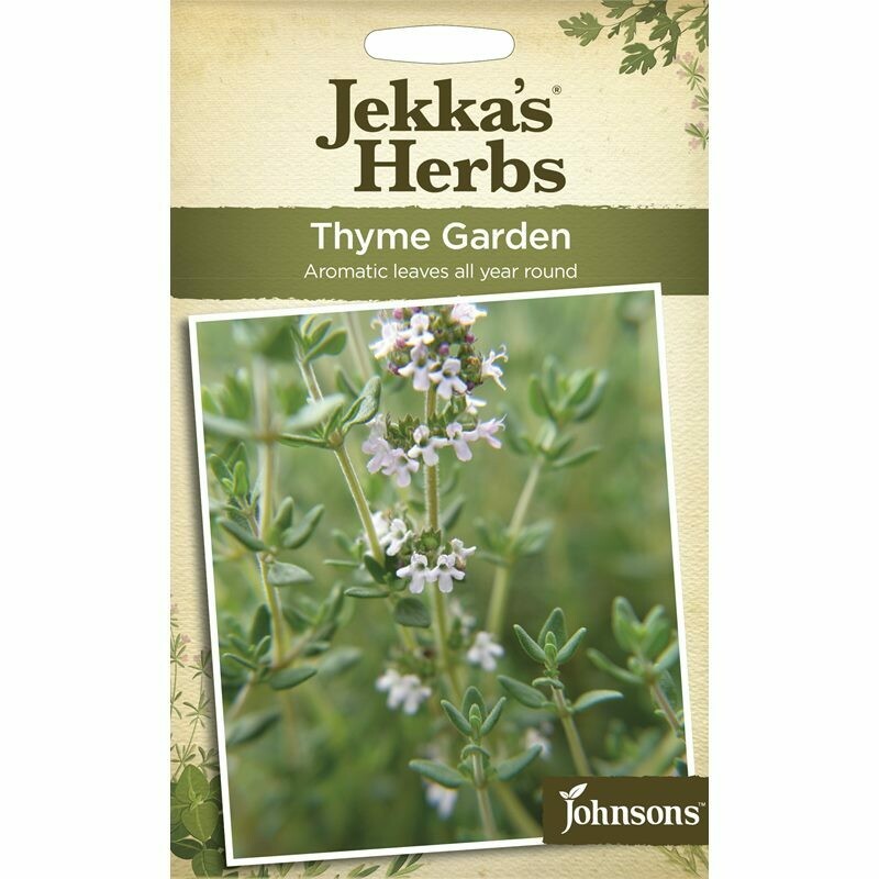 Jekka Herbs Thyme Common Garden