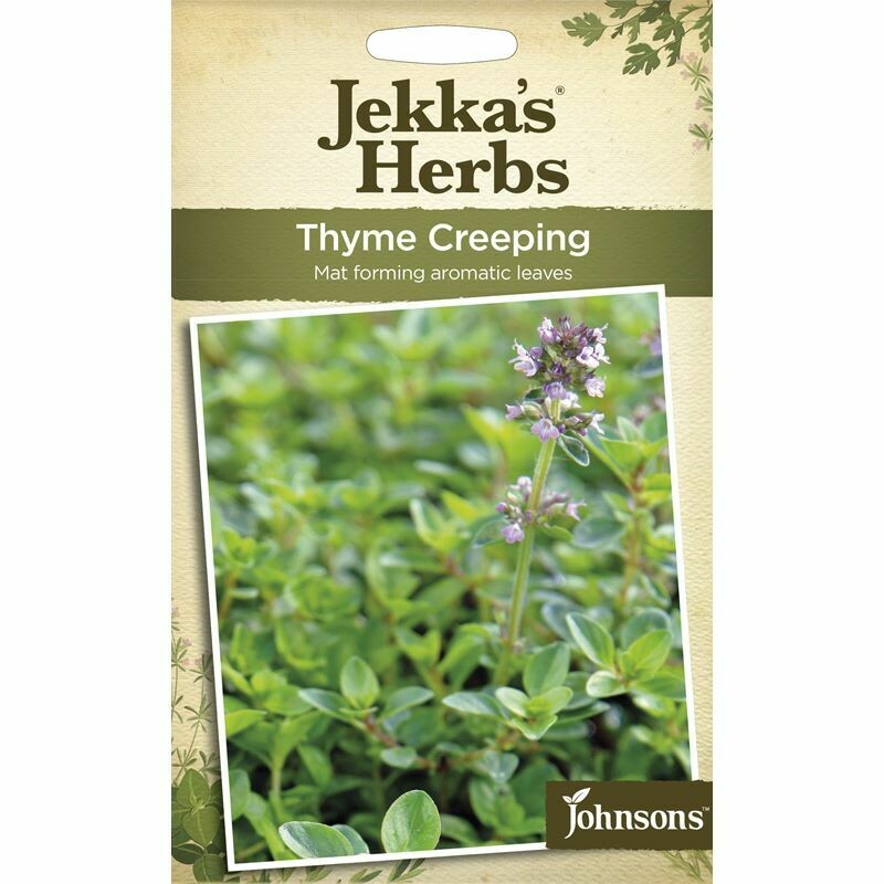 Jekka Herbs Thyme Creeping