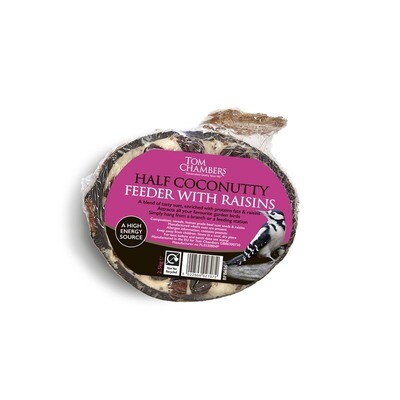 Coconut Half With Raisins