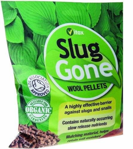 Slug Gone 3.5 litre
