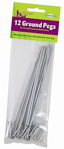 Pack of 12 Ground Pegs