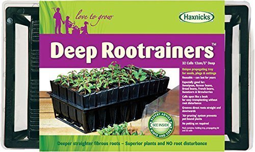 Haxnicks Deep Rootrainer Seed Tray