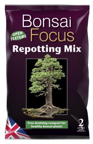 Bonsai Focus Repotting Mix 2 Litre