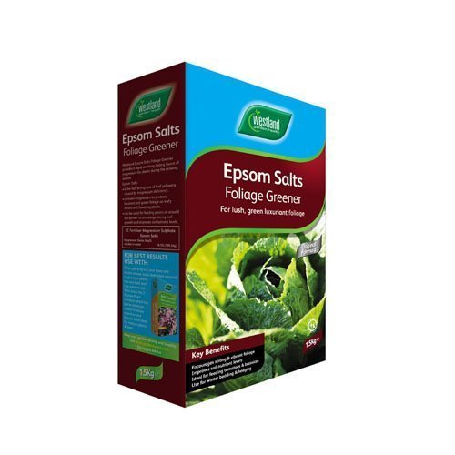 Westland Epsom Salts Foliage Greener 1.5kg
