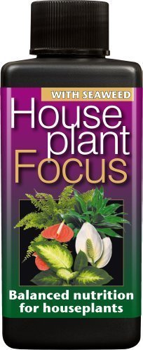 Houseplant Focus Balanced Liquid Concentrated Fertiliser 100ml