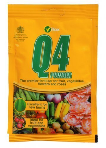 Q4 Powder 60g sachet