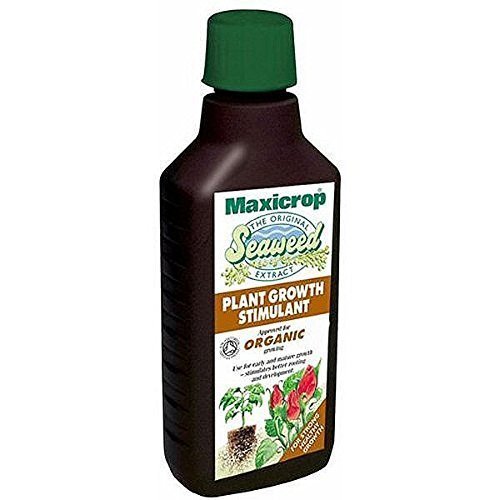 Original Organic Seaweed Extract 1 Litre