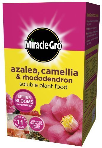 Ericaceous Soluble Plant Food 1 kg
