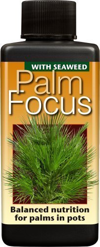 Palm Focus Unique Liquid Concentrated Fertiliser 100ml