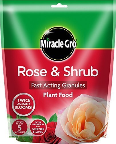 Rose and Shrub Plant Food 750g