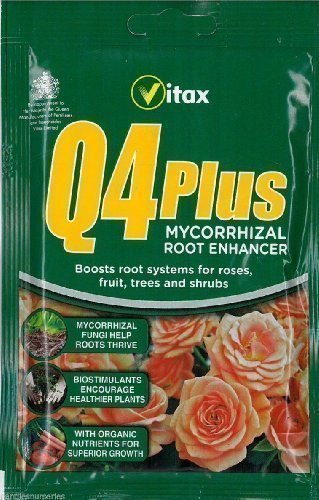 Q4 PLUS Mycorrhizal Root Enhancer 60g