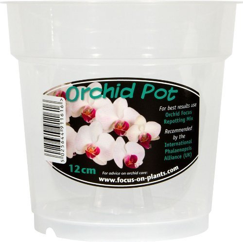 Clear Orchid Pot 12cm