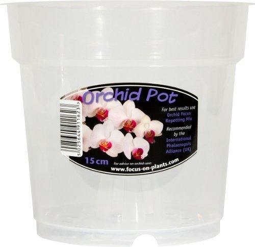 Clear Orchid Pot 15cm
