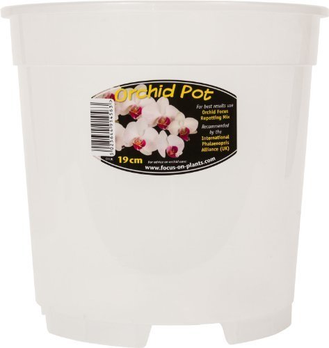 Clear Orchid Pot 19cm