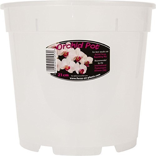 Clear Orchid Pot 21cm