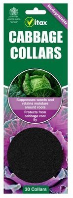Pack of 30 Biodegradeable Cabbage Collars