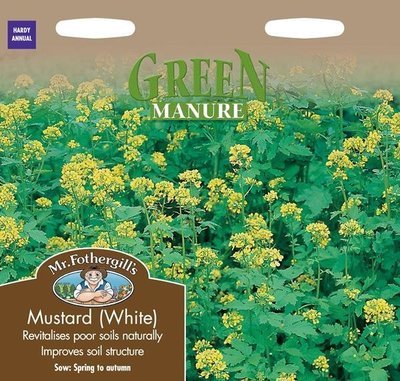 Green Manure Mustard White