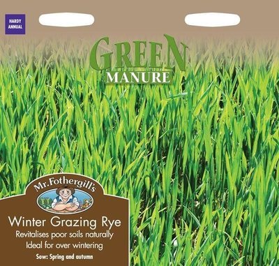 Green Manure Winter Rye