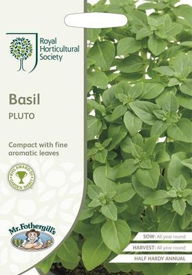 RHS Basil Pluto