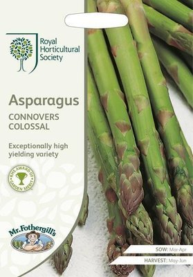 RHS Asparagus Connover's Colossal