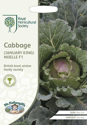 RHS Cabbage (January King) Noelle F1
