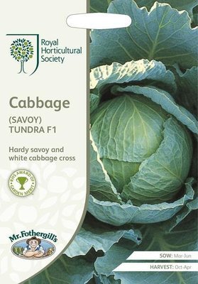 RHS Cabbage (Savoy) Tundra F1