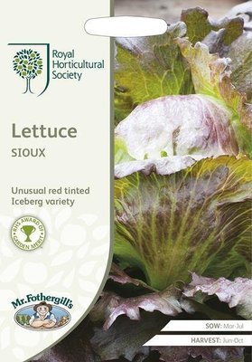 RHS Lettuce Sioux