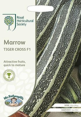 RHS Marrow Tiger Cross F1