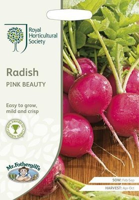 RHS Radish Pink Beauty