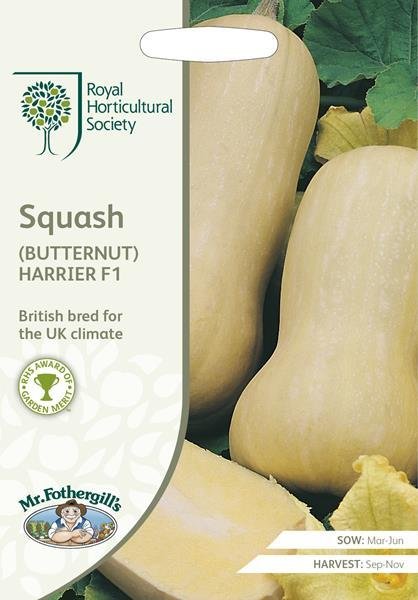 RHS Squash (Butternut) Harrier F1