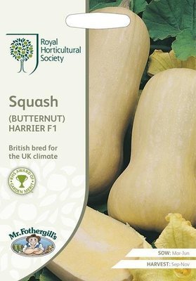 RHS Squash (Butternut) Harrier F1