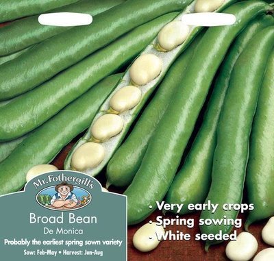 Broad Bean De Monica Seeds