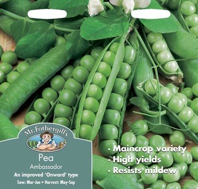 Pea Ambassador Seeds