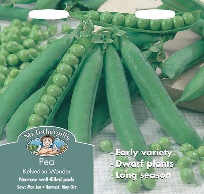 Pea Kelvedon Wonder Seeds